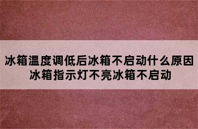 冰箱温度调低后冰箱不启动什么原因 冰箱指示灯不亮冰箱不启动